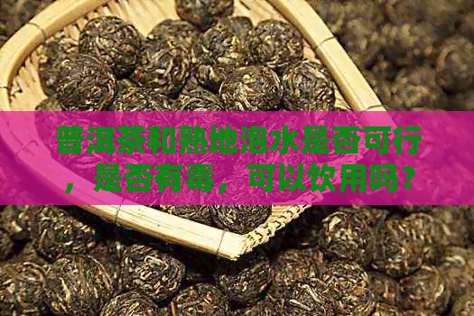 普洱茶和熟地泡水是否可行，是否有，可以饮用吗？