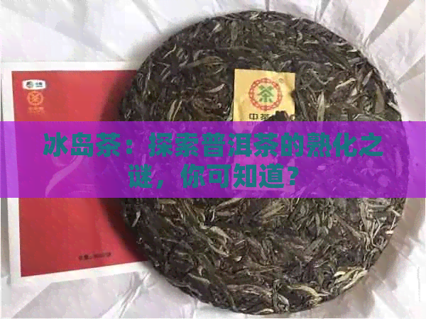 冰岛茶：探索普洱茶的熟化之谜，你可知道？