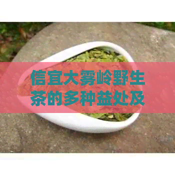 信宜大雾岭野生茶的多种益处及其科学饮用方法：一篇全面的探索与解析