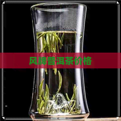 风牌普洱茶价格