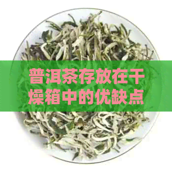 普洱茶存放在干燥箱中的优缺点及使用注意事项