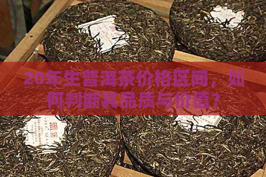 20年生普洱茶价格区间，如何判断其品质与价值？