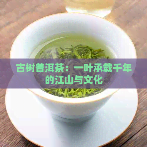 古树普洱茶：一叶承载千年的江山与文化