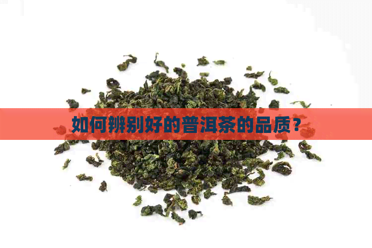 如何辨别好的普洱茶的品质？