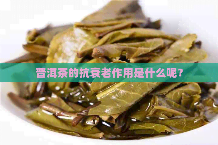 普洱茶的抗衰老作用是什么呢？