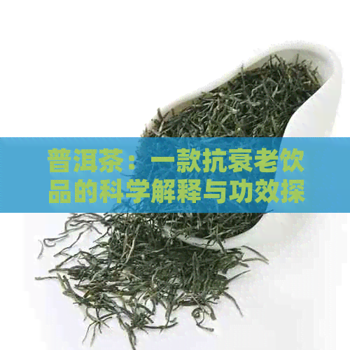 普洱茶：一款抗衰老饮品的科学解释与功效探讨