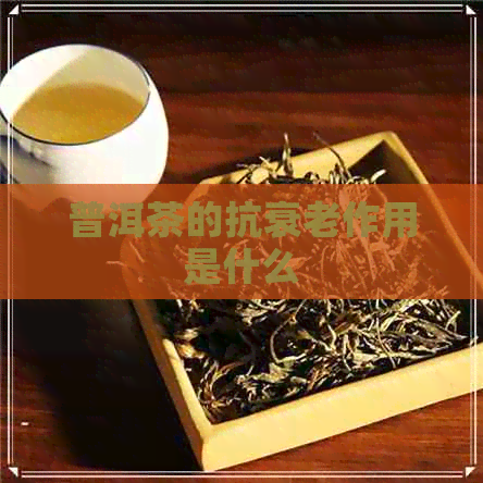 普洱茶的抗衰老作用是什么