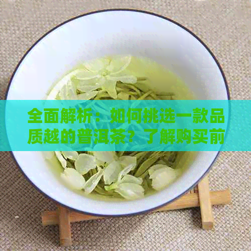 全面解析：如何挑选一款品质越的普洱茶？了解购买前的四大关键要素！