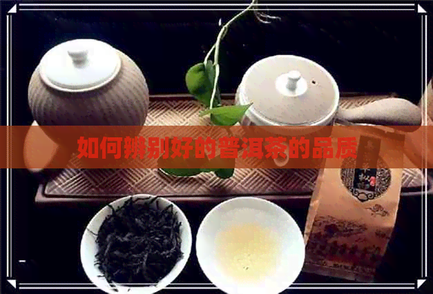 如何辨别好的普洱茶的品质