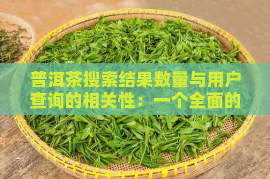 普洱茶搜索结果数量与用户查询的相关性：一个全面的分析与比较