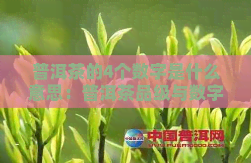 普洱茶的4个数字是什么意思：普洱茶品级与数字关联，你知道吗？