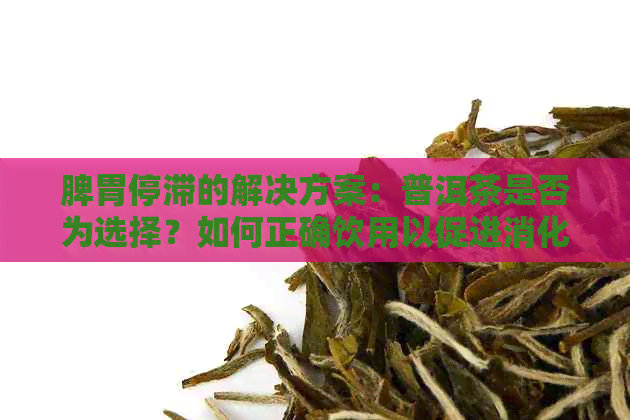 脾胃停滞的解决方案：普洱茶是否为选择？如何正确饮用以促进消化？