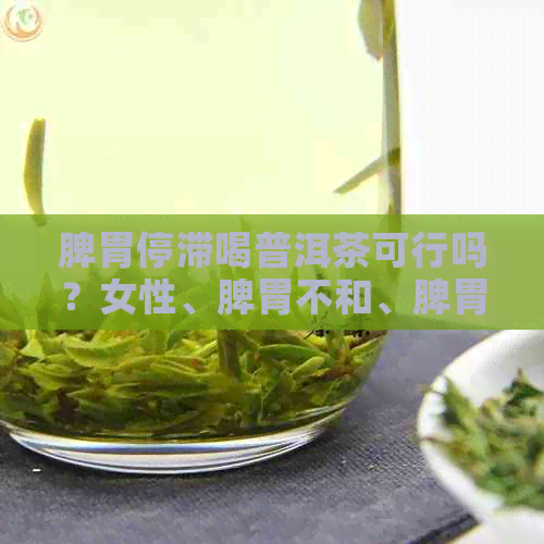 脾胃停滞喝普洱茶可行吗？女性、脾胃不和、脾胃虚弱适合饮用普洱茶吗？