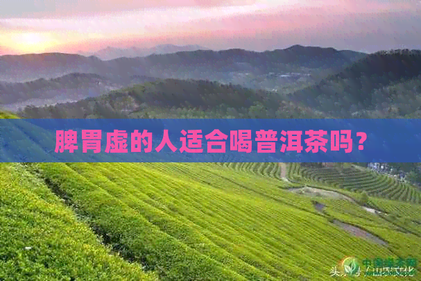 脾胃虚的人适合喝普洱茶吗？