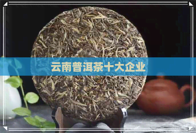 云南普洱茶十大企业