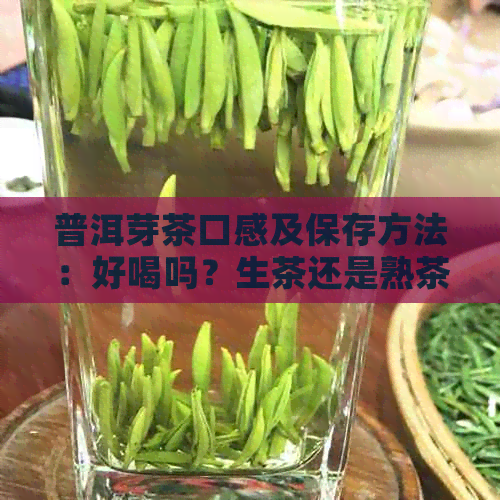 普洱芽茶口感及保存方法：好喝吗？生茶还是熟茶？是什么意思？