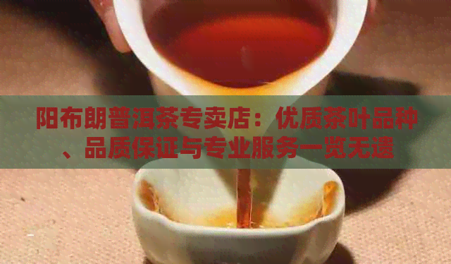 阳布朗普洱茶专卖店：优质茶叶品种、品质保证与专业服务一览无遗