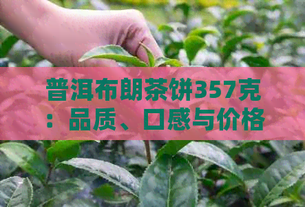 普洱布朗茶饼357克：品质、口感与价格详解