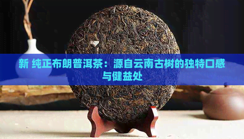 新 纯正布朗普洱茶：源自云南古树的独特口感与健益处