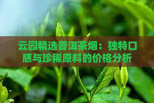 云园精选普洱茶烟：独特口感与珍稀原料的价格分析