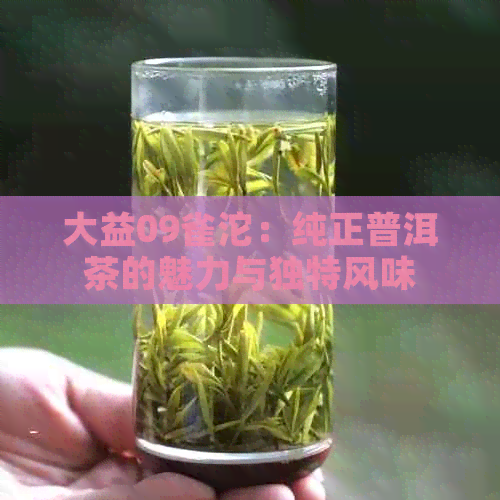 大益09雀沱：纯正普洱茶的魅力与独特风味