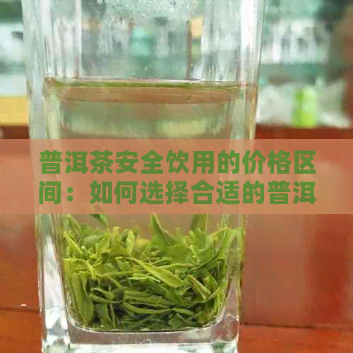 普洱茶安全饮用的价格区间：如何选择合适的普洱茶价格？