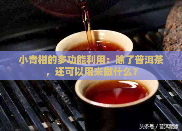 小青柑的多功能利用：除了普洱茶，还可以用来做什么？