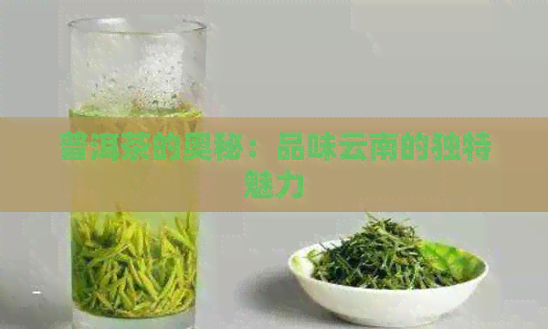 普洱茶的奥秘：品味云南的独特魅力