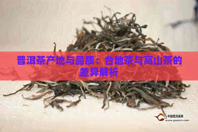 普洱茶产地与品质：台地茶与高山茶的差异解析