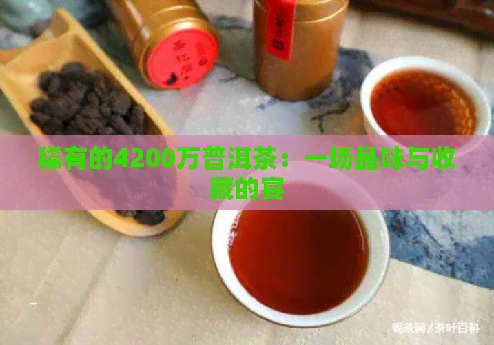 稀有的4200万普洱茶：一场品味与收藏的宴