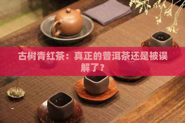 古树青红茶：真正的普洱茶还是被误解了？