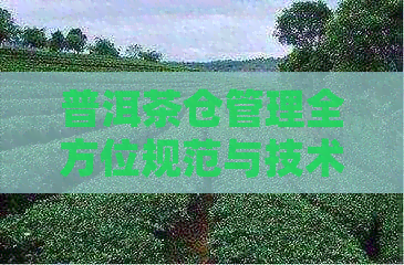 普洱茶仓管理全方位规范与技术：从选购到保存的完整指南