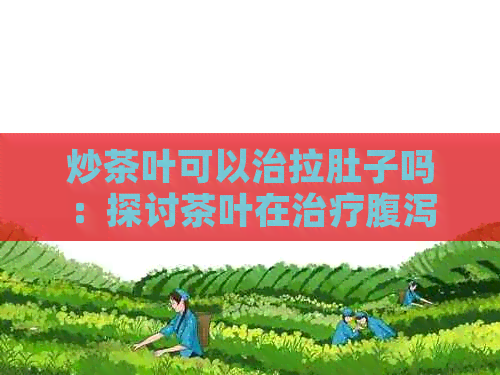 炒茶叶可以治拉肚子吗：探讨茶叶在治疗腹泻方面的作用及注意事项