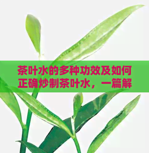 茶叶水的多种功效及如何正确炒制茶叶水，一篇解答所有疑问的文章