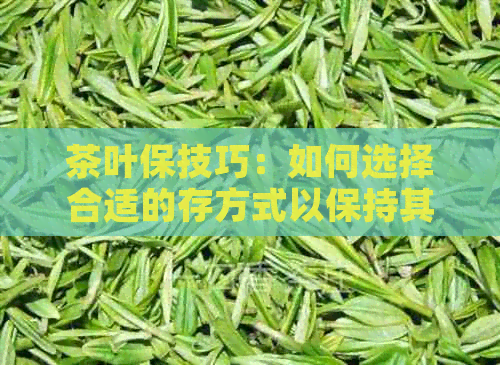 茶叶保技巧：如何选择合适的存方式以保持其新度？