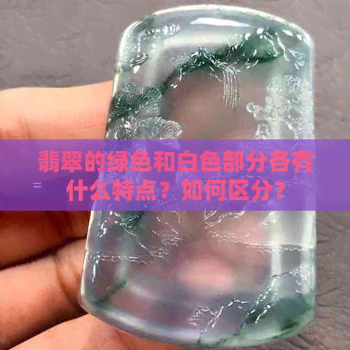 翡翠的绿色和白色部分各有什么特点？如何区分？