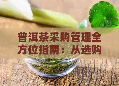 普洱茶采购管理全方位指南：从选购到保存，一文解析所有关键点