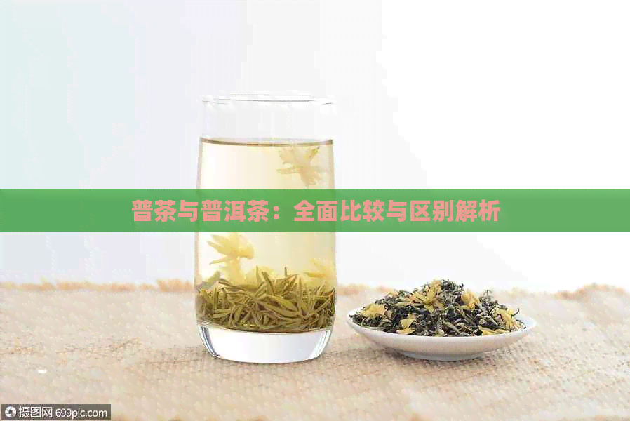 普茶与普洱茶：全面比较与区别解析