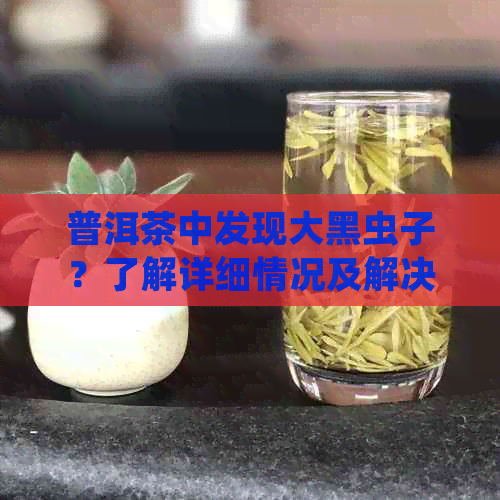 普洱茶中发现大黑虫子？了解详细情况及解决方法！