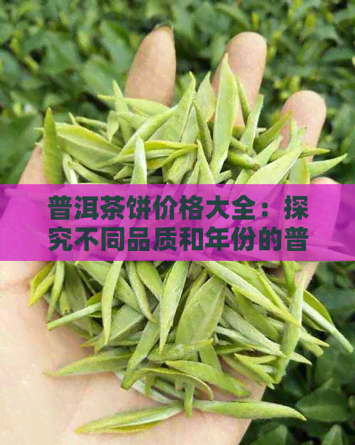 普洱茶饼价格大全：探究不同品质和年份的普洱茶饼价格区间