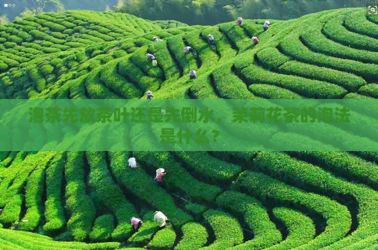 泡茶先放茶叶还是先倒水，茉莉花茶的泡法是什么？