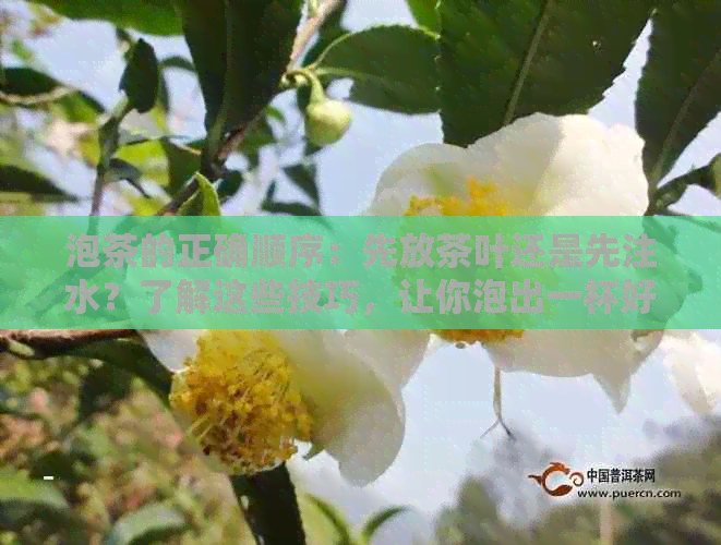 泡茶的正确顺序：先放茶叶还是先注水？了解这些技巧，让你泡出一杯好茶