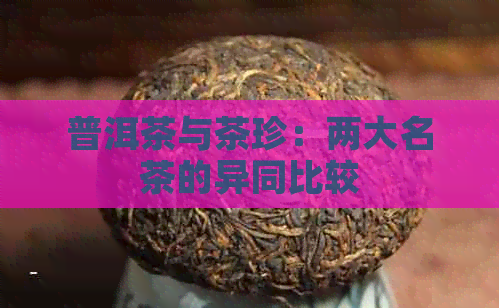 普洱茶与茶珍：两大名茶的异同比较