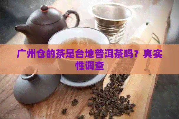 广州仓的茶是台地普洱茶吗？真实性调查