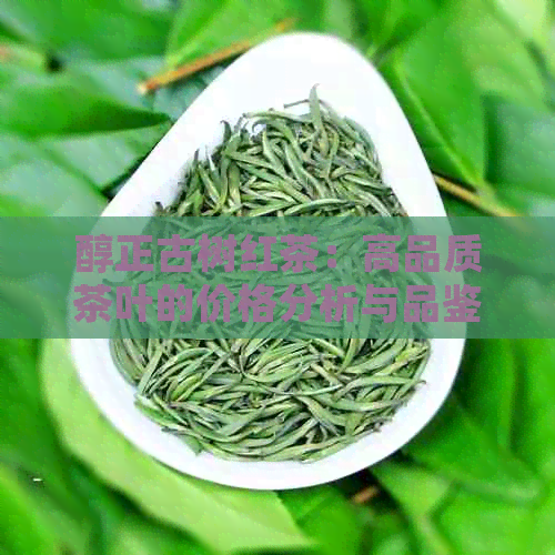 醇正古树红茶：高品质茶叶的价格分析与品鉴指南