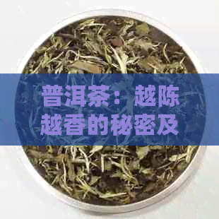 普洱茶：越陈越香的秘密及其品鉴与保存技巧