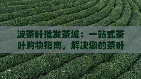 波茶叶批发茶城：一站式茶叶购物指南，解决您的茶叶需求与问题