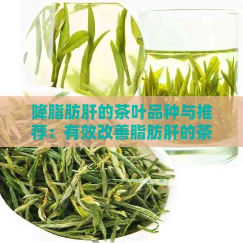 降脂肪肝的茶叶品种与推荐：有效改善脂肪肝的茶叶种类