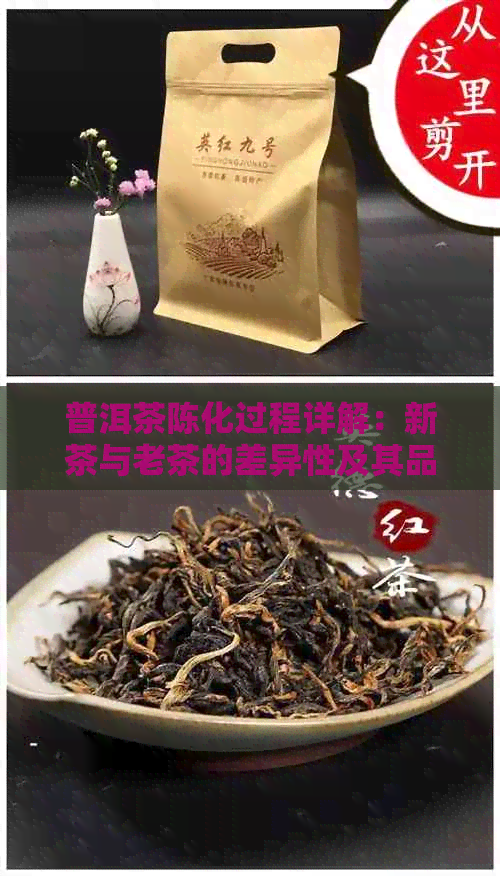 普洱茶陈化过程详解：新茶与老茶的差异性及其品质影响因素