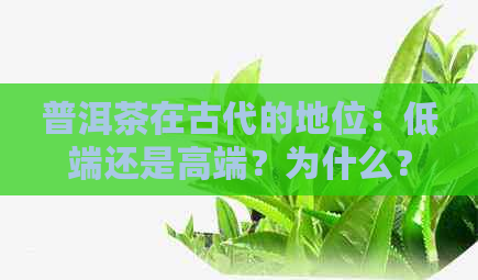 普洱茶在古代的地位：低端还是高端？为什么？同时探究其名称及制作工艺。